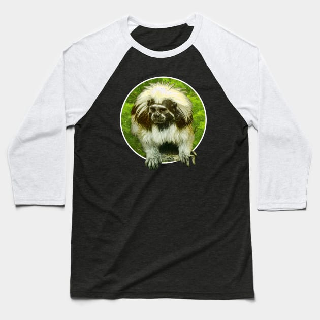 Cotton-top tamarin Baseball T-Shirt by Guardi